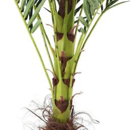 EONLION 180cm 6ft Artificial Palm Tree Indoor in Green - Size: 100 cm - thumbnail 5