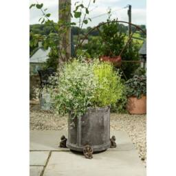 Jardinopia Orangutan Plant Pot Feet - Set of 3 - L10.2 x W7 x H9 cm in Bronze - thumbnail 6