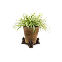 Jardinopia Orangutan Plant Pot Feet - Set of 3 - L10.2 x W7 x H9 cm in Bronze - thumbnail 5