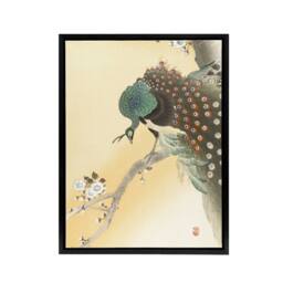 "Artery8 Peacock On A Cherry Blossom Tree Framed Canvas Wall Art Print Koson in Orange - Size: W12"" x H16""" - thumbnail 1