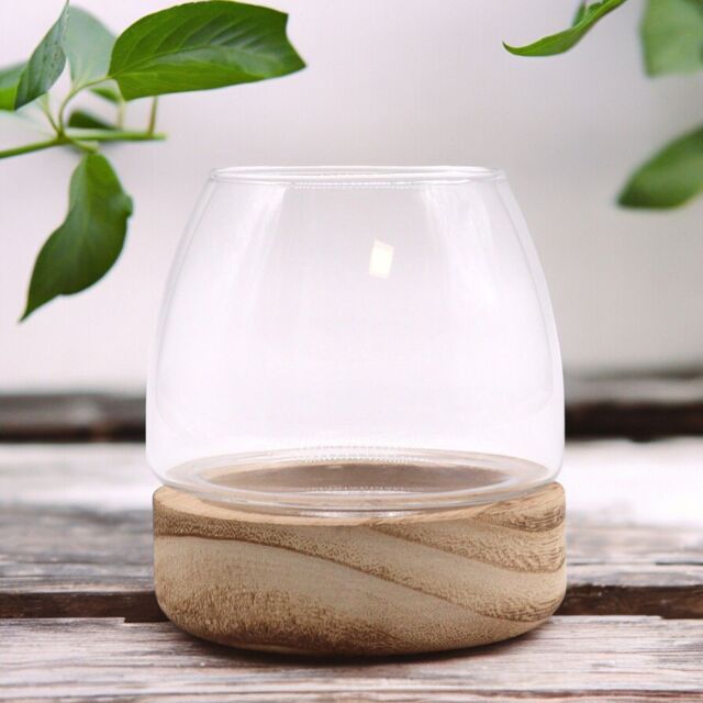 KDMD Mini Terarium on Natural Tung Wood in Brown - image 1
