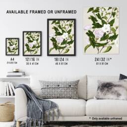 "Artery8 New Zealand Bindweed Wildflowers Featon Framed Wall Art Print in Beige - Size: W12"" x H16""" - thumbnail 3