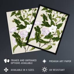 "Artery8 New Zealand Bindweed Wildflowers Featon Framed Wall Art Print in Beige - Size: W12"" x H16""" - thumbnail 2