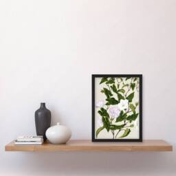 "Artery8 New Zealand Bindweed Wildflowers Featon Framed Wall Art Print in Beige - Size: W12"" x H16""" - thumbnail 4