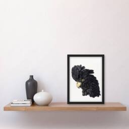 Artery8 Aert Schouman Framed Wall Art Head of a Black Cockatoo Watercolour in White - Size: A4 - thumbnail 2