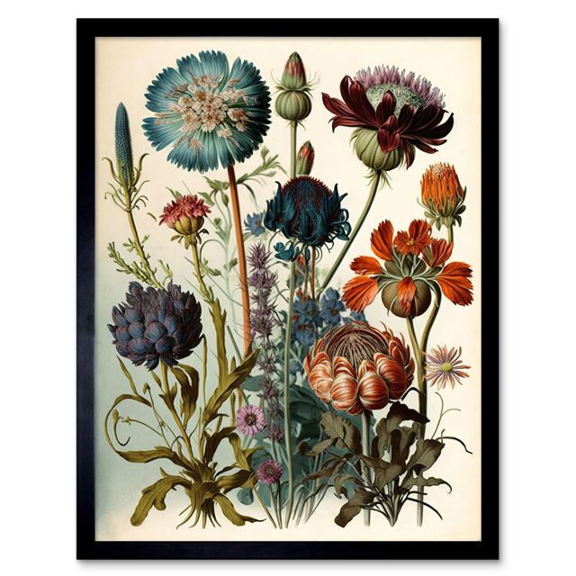 "Artery8 Wall Art Print Vintage Botanical Ernst Haeckel Inspired Plant Study Modern Watercolour Painting Art Framed - Size: W12"" x H16""" - image 1