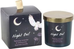 KDMD Night Owl Lavender & Chamomile Candle in Teal - thumbnail 2