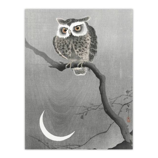 "Artery8 Long Eared Owl On Tree Branch Vintage Japan Wall Art Print Koson in Grey - Size: W12"" x H16""" - image 1