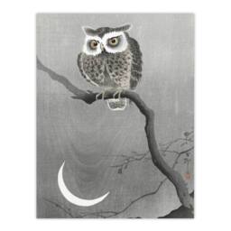 "Artery8 Long Eared Owl On Tree Branch Vintage Japan Wall Art Print Koson in Grey - Size: W12"" x H16""" - thumbnail 1