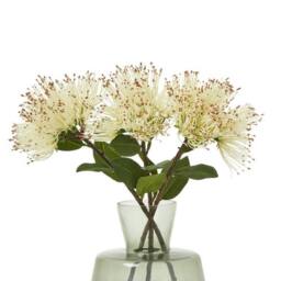 Lemon Pavilion Furniture and Decor Protea Nitida (Single Stem Flower) - Plastic - Height 45 cm - Cream - thumbnail 3