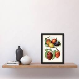 Artery8 John Wright Framed Wall Art Print Plum Varieties Vintage illustration in White - Size: A4 - thumbnail 2