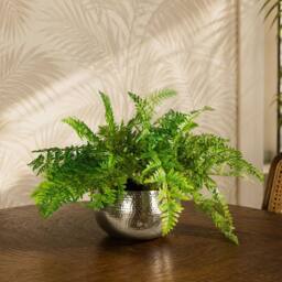 Leaf Artificial Ferns Display with Metal Silver Bowl Planter 50x65cm in Green - Size: 50x65 cm