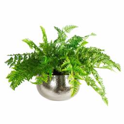 Leaf Artificial Ferns Display with Metal Silver Bowl Planter 50x65cm in Green - Size: 50x65 cm - thumbnail 2