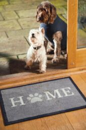 My Mat Home Paw 1 Washable Indoor Nylon Mat in Grey - Size: 50 cm x 75 cm - thumbnail 2