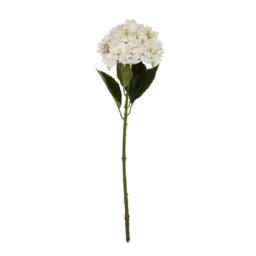 Lemon Pavilion Furniture and Decor Hydrangea Stem - Plastic - L16 x W16 x H58 cm - White - thumbnail 4