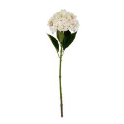 Lemon Pavilion Furniture and Decor Hydrangea Stem - Plastic - L16 x W16 x H58 cm - White - thumbnail 2
