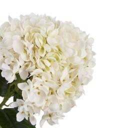 Lemon Pavilion Furniture and Decor Hydrangea Stem - Plastic - L16 x W16 x H58 cm - White - thumbnail 3