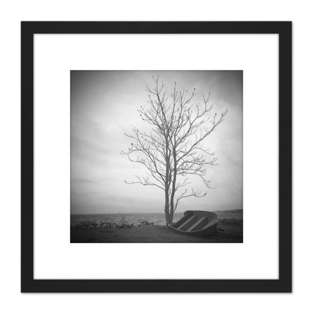 Artery8 Lone Tree Silhouette Greyscale Photo 8X8 Inch Square Wooden Framed Wall Art Print Picture with Mount in Black - image 1