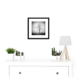 Artery8 Lone Tree Silhouette Greyscale Photo 8X8 Inch Square Wooden Framed Wall Art Print Picture with Mount in Black - thumbnail 2