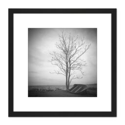 Artery8 Lone Tree Silhouette Greyscale Photo 8X8 Inch Square Wooden Framed Wall Art Print Picture with Mount in Black - thumbnail 1