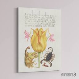 "Artery8 Larkspurs Tulip & Scorpion Calligraphy Canvas Wall Art Print in White - Size: W12"" x H16""" - thumbnail 2