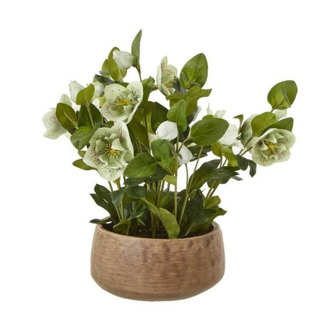 Lemon Pavilion Furniture and Decor Hellebore Plant in Pot - Plastic - L33 x W38 x H41 cm - Green/Taupe in Green - image 1