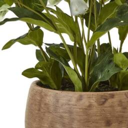 Lemon Pavilion Furniture and Decor Hellebore Plant in Pot - Plastic - L33 x W38 x H41 cm - Green/Taupe in Green - thumbnail 4