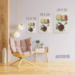 "Artery8 Vintage Illustration of Peach Varieties Wright Canvas Wall Art Print in White - Size: W18"" x H24""" - thumbnail 4