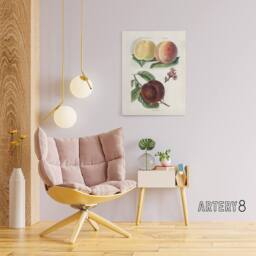 "Artery8 Vintage Illustration of Peach Varieties Wright Canvas Wall Art Print in White - Size: W18"" x H24""" - thumbnail 3