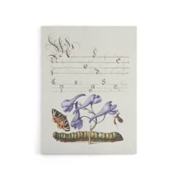 "Artery8 Butterfly Caterpillar & Flower Calligraphy Canvas Wall Art Print in White - Size: W18"" x H24""" - thumbnail 1