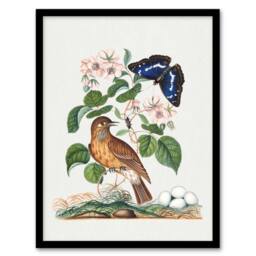 Artery8 Spotted Flycatcher & Purple Emperor Bolton Framed Wall Art Print in White - Size: A4 - thumbnail 1