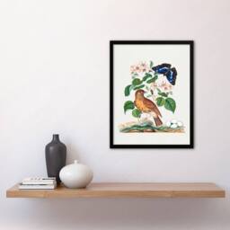 Artery8 Spotted Flycatcher & Purple Emperor Bolton Framed Wall Art Print in White - Size: A4 - thumbnail 2