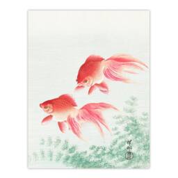Artery8 Ohara Koson Framed Wall Art Print Two Veiltail Goldfish in Pond in Pink - Size: A4 - thumbnail 3