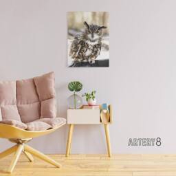 "Artery8 Owl perched on a rock Carol M Highsmith Canvas Wall Art Print - Size: W12"" x H16""" - thumbnail 3