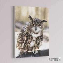 "Artery8 Owl perched on a rock Carol M Highsmith Canvas Wall Art Print - Size: W12"" x H16""" - thumbnail 2