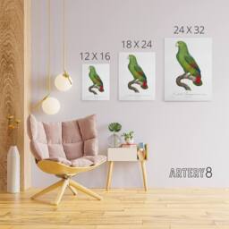 "Artery8 The Black Billed Amazon Parrot Levaillant Canvas Wall Art Print in White - Size: W12"" x H16""" - thumbnail 4
