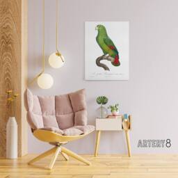 "Artery8 The Black Billed Amazon Parrot Levaillant Canvas Wall Art Print in White - Size: W12"" x H16""" - thumbnail 3