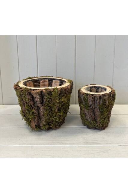 KDMD Set of Two Round Mossed Bark Wooden Pot TD20xH15.5xB14cm TD12xH13xB9cm in Brown - image 1