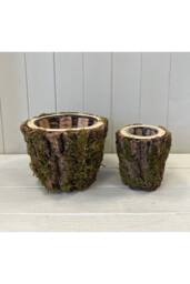 KDMD Set of Two Round Mossed Bark Wooden Pot TD20xH15.5xB14cm TD12xH13xB9cm in Brown - thumbnail 1