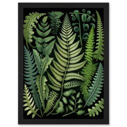 Artery8 Ernst Haeckel Style Fern Fronds Leaf Illustration Artwork Framed Wall Art Print A4 in Black - thumbnail 1