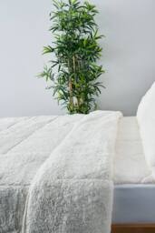 BHS Teddy Bear Duvet in Cream - Size: Single - thumbnail 2