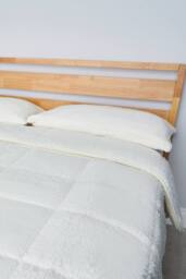 BHS Teddy Bear Duvet in Cream - Size: Single - thumbnail 3