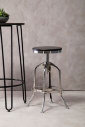 Orsina Gator Ash Wood Seat Metallic Stool in Silver - thumbnail 2