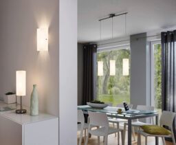 Eglo Troy 3 Satin Glass & Steel Wall Light in Silver