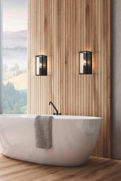 Eglo Amezola Clear Metal & Glass IP44 Bathroom or Outdoor Wall or Ceiling Light in Black - thumbnail 3