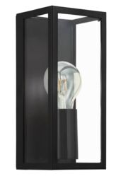 Eglo Amezola Clear Metal & Glass IP44 Bathroom or Outdoor Wall or Ceiling Light in Black