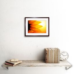"Artery8 Wall Art Print Sunflower Petals Close Up Framed in Brown - Size: W7"" x H9""" - thumbnail 2