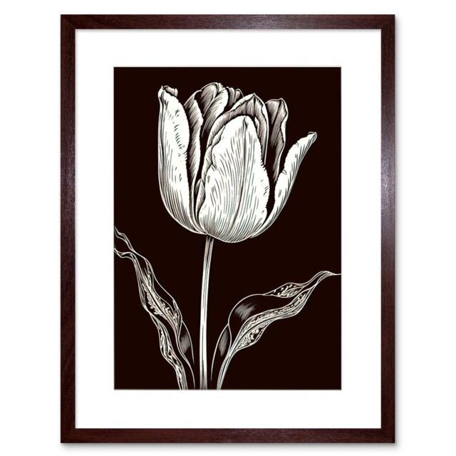 "Artery8 Wall Art Print Tulip Flower Black & White Contour Folk Artwork Framed 9X7 Inch in Brown - Size: W7"" x H9""" - image 1