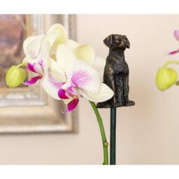 Jardinopia Labrador Cane or Stake Topper Pot Buddy - L5 x W4 x H7.5 cm in Bronze - thumbnail 4
