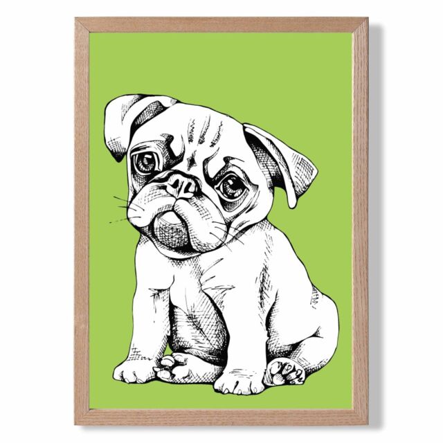 ARTZE Sketch Pug Dog on Bright Green Framed Print SIZE: A2 with Oak Frame - image 1
